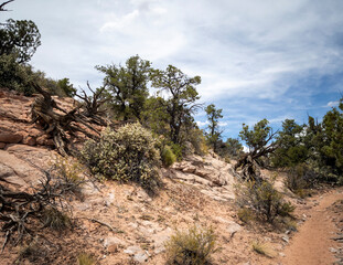 Ancient cliff dwelling and awesome canyons at the Navajo National Monument outside Kayenta Arizona