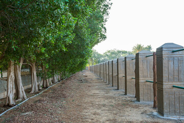 Fototapeta premium fence