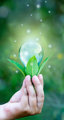 Hand hold the light bulb, green energy innovation  , Idea nature conservation and saving energy concept.sustainable development. Ecology concept.