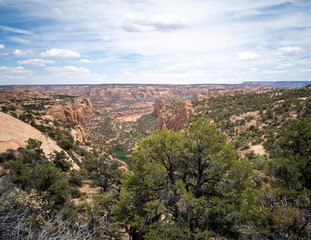 Fototapeta na wymiar Ancient cliff dwelling and awesome canyons at the Navajo National Monument outside Kayenta Arizona