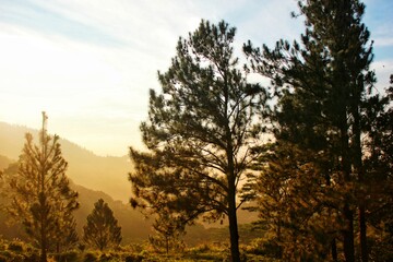 sunset in the mountains