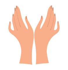 Obraz premium Two graceful female hands in flat design. Clipart of female arms for manicure, massage, care cosmetics. Vector illustration isolated on white background.