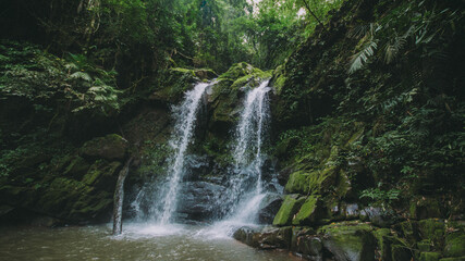 Fototapeta premium Waterfall in the forest.