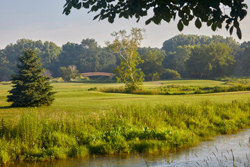 Golf course looking very green with a stream running through it and a bridge to go over the water on a pretty summer day