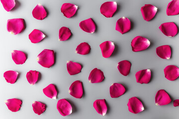 Group of red rose petals on gray background