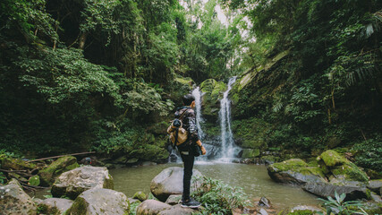 Waterfall in the forest.