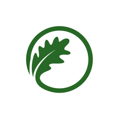 Oak leaf logo design vector illustration, Creative oak tree logo design concept template, symbols icons