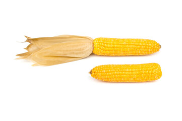 Boiled corn pods isolated on white background.