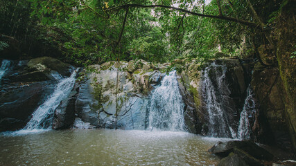 Naklejka premium Waterfall in the middle of the forest 