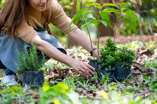 Closeup image of a young woman preparing to plant trees in the garden