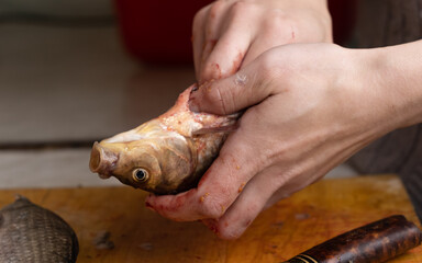 cleaning fish from intestines,cutting crucian carp with a knife.