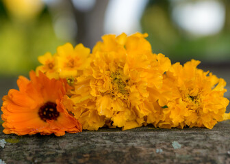 composition with bright autumn flower fragments on the background of an old wooden table, beautiful texture