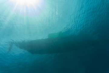 underwater view of the world