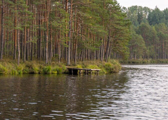Obraz premium autumn landscape with a bog lake, tree reflections in the lake water, autumn time