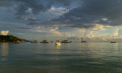 boats in the harbor