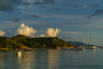 boats in the harbor