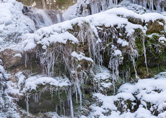 Obraz premium frozen fast flowing spring water, icy rocks and water stream, frosty tree roots, beautiful ice and water texture