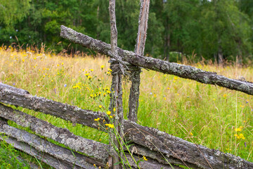 Old roundpole fence with flowers at a meadow