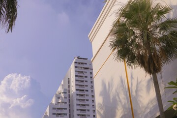 Fototapeta na wymiar Building with tree shadow and blue sky