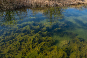 reflection in the water