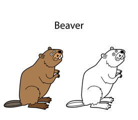 Funny cute animal badger isolated on white background. Linear, contour, black and white and colored version. Illustration can be used for coloring book and pictures for children