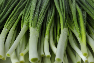 Fresh green onion with water drops, close up