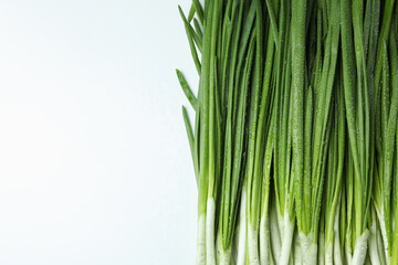 Fresh green onion with water drops, space for text