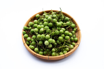 Turkey berry isolated on white background