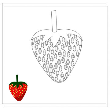 Page of the coloring book, strawberry. Color version and sketch. Coloring book for kids. Vector illustration isolated on a white background