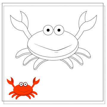 Page of the coloring book, crab. Sketch and color version. Coloring book for kids. Vector illustration isolated on a white background