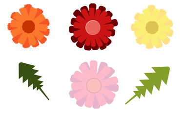 Illustration of flowers and their leaves. View from above