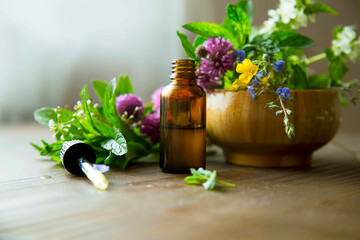 Herbal essential oil bottle with medicinal plant and herbs. Aromatherapy