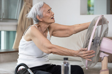 Fototapeta Happy smiling senior woman enjoying cooling wind from electric fan,old elderly people refreshing embracing cooling fan in sunny hot summer day,sit rest on comfortable couch at home during heatwave obraz