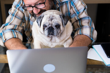 Fototapeta premium Portrait of mature man and dog working together at laptop computer with love and friendship - modern job lifestyle in home office - concept of online work and new job career for businessman