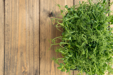 young shoots of peas or beans in a container. green, juicy, fresh salad on a wooden background. healthy food concept.