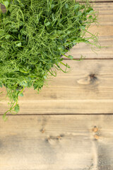 young shoots of peas or beans in a container. green, juicy, fresh salad on a wooden background. healthy food concept.