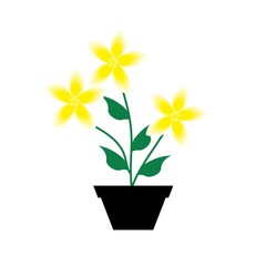 Flower illustration. vector illustration isolated on white background