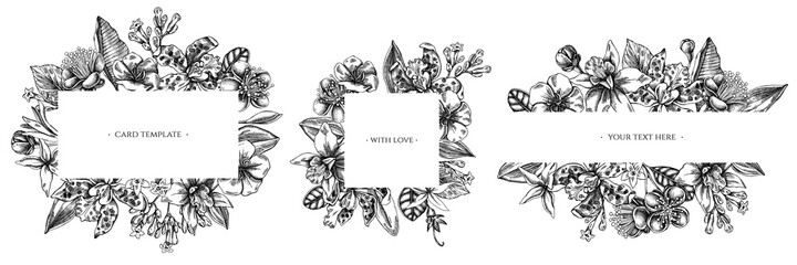 Floral frames with black and white laelia, feijoa flowers, glory bush, papilio torquatus, cinchona, cattleya aclandiae