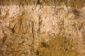 Clay wall texture. Old clay on the wall.