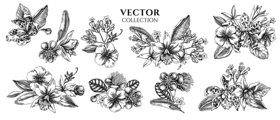 Flower bouquet of black and white laelia, feijoa flowers, glory bush, papilio torquatus, cinchona, cattleya aclandiae - obrazy, fototapety, plakaty