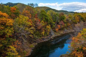 秋の滝上町錦仙峡の紅葉