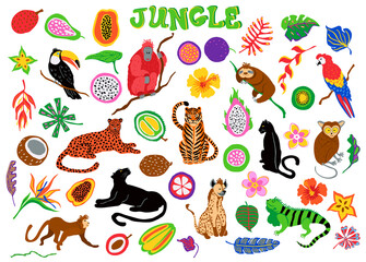 cartoon tropical rainforest jungle animals, fruits, flowers, leaves set