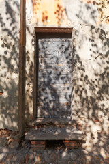 Old door with shadow