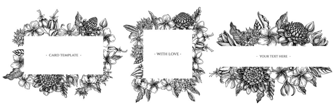 Floral frames with black and white plumeria, allamanda, clerodendrum, champak, etlingera, ixora