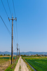 Obraz premium 田舎のあぜ道
