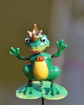 Froschk&ouml;nig