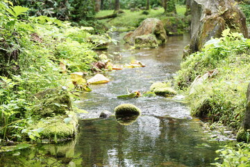 大雪山国立公園