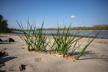 Rheinstrand Ludwigshöhe