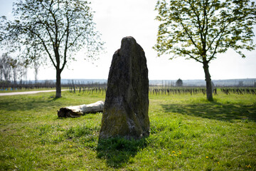 Gedenkstein an Rudelsheim bei Ludwigshöhe