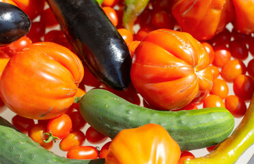 un bellissimo raccolto di verdura fresca